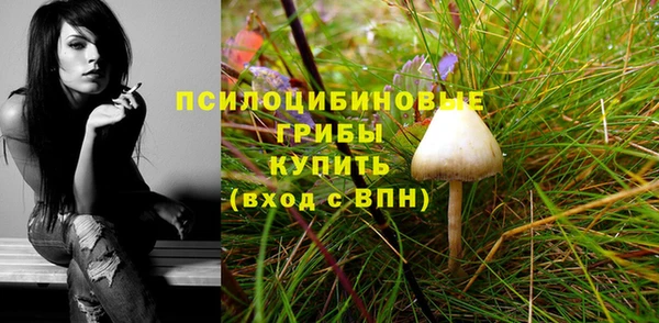 мдпв Сатка