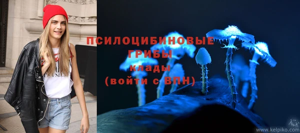 мдпв Сатка